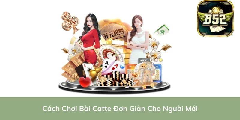 Cách Chơi Bài Catte Đơn Giản Cho Người Mới